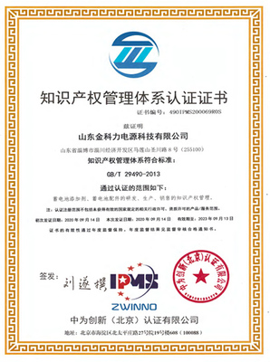 體系證書(shū)與知識(shí)產(chǎn)權(quán)服務(wù) 企業(yè)合規(guī)與創(chuàng)新的雙重保障